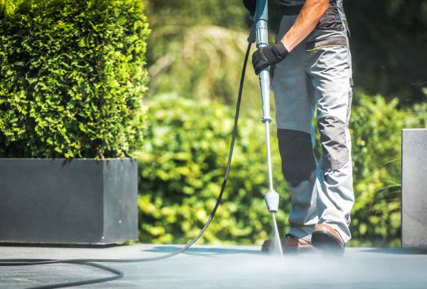 Best Driveway Pressure Washing  in Grass Lake, MI