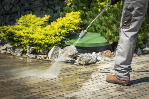 Best Fence Cleaning  in Grass Lake, MI