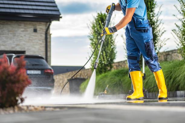 Best Animal Enclosure Cleaning  in Grass Lake, MI